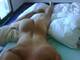 Private Photo of Sempresuu